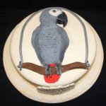 parrot-cake