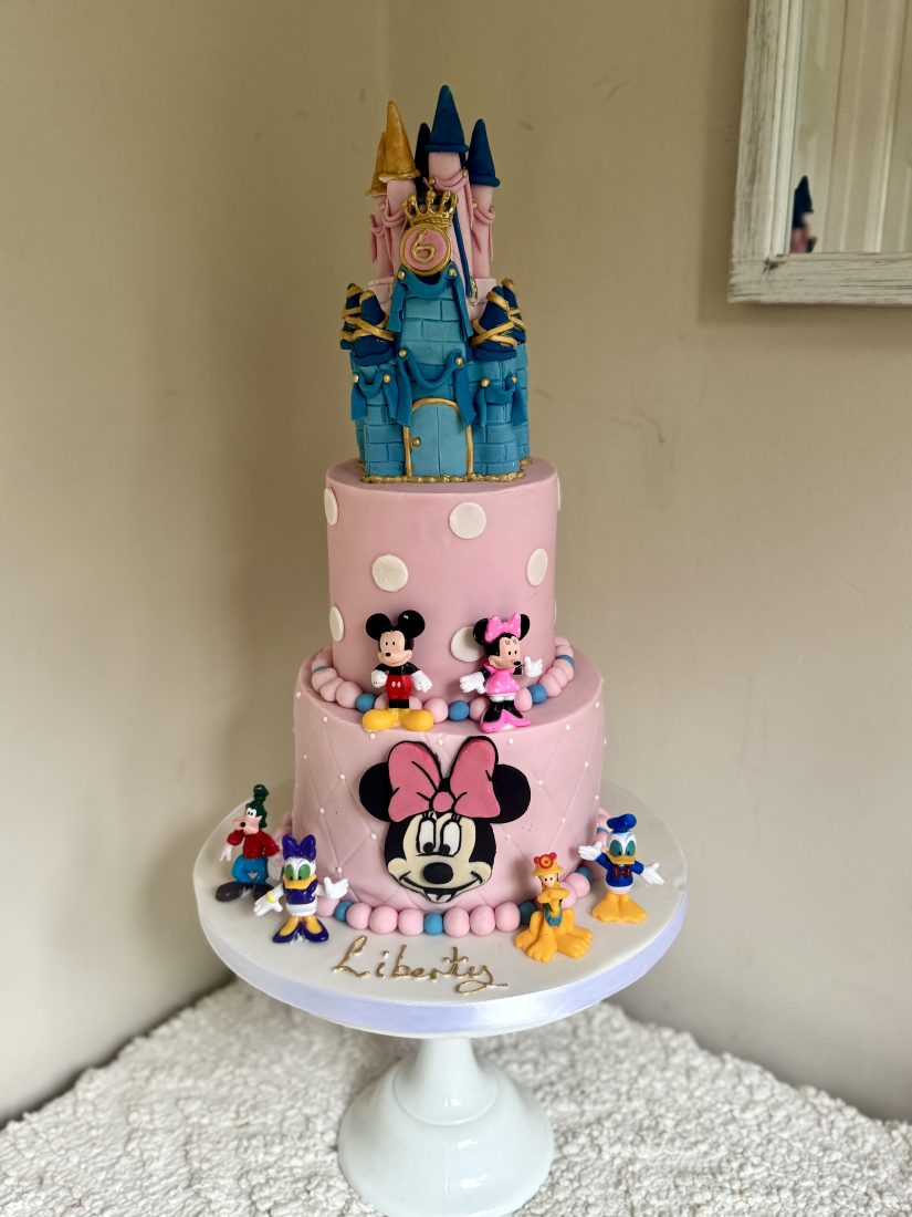 Handmade Disney castle cake